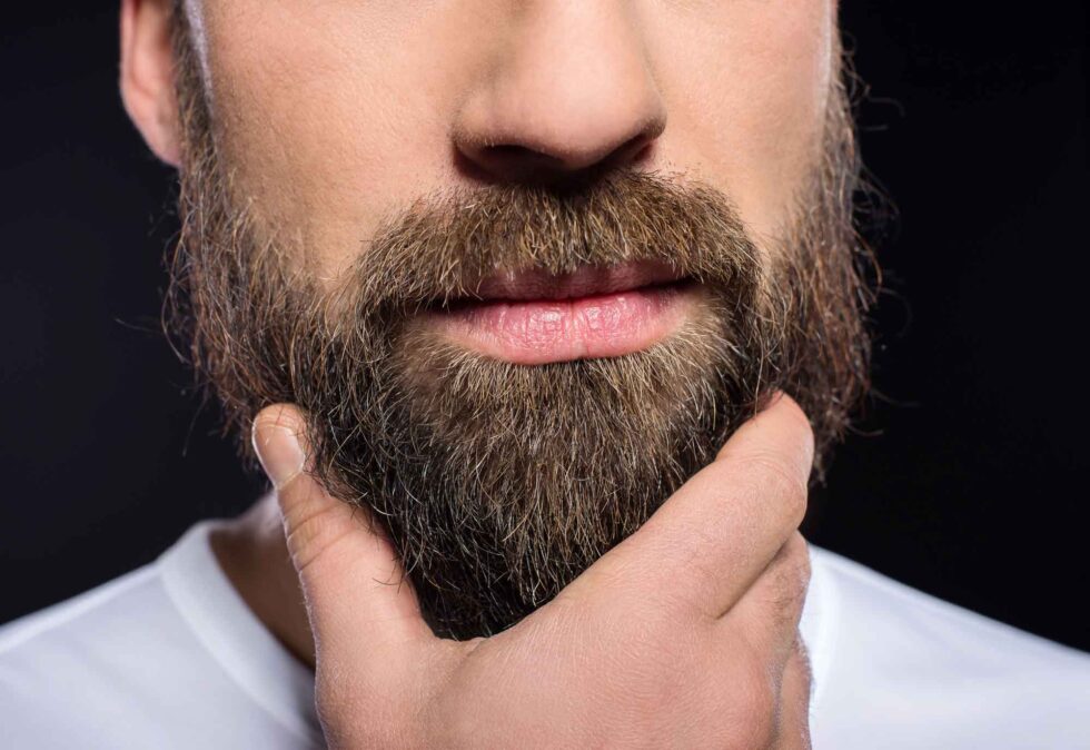 the modern gentleman bearded man